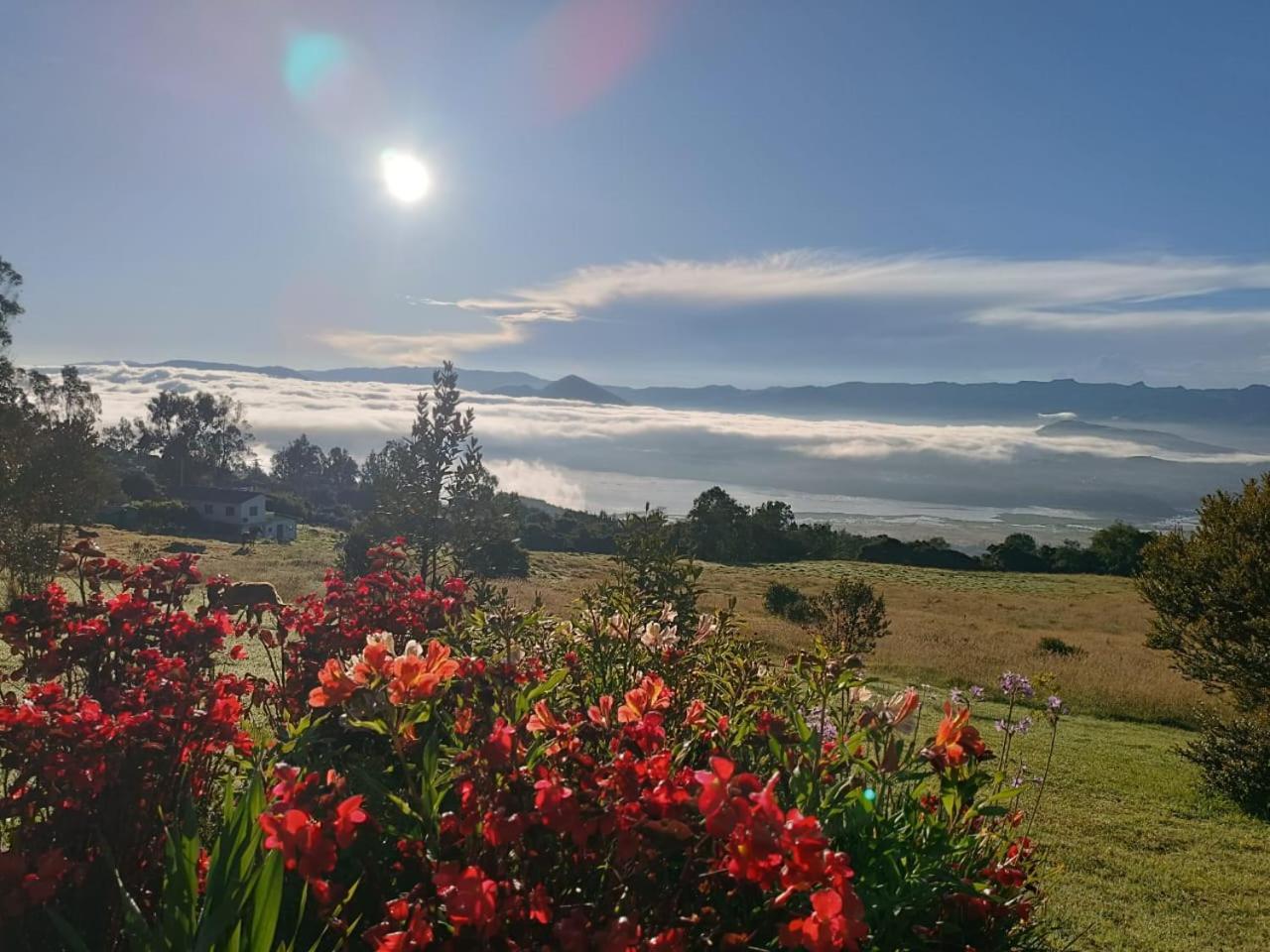 Glamping Hermoso Amanecer Guatavita Buitenkant foto